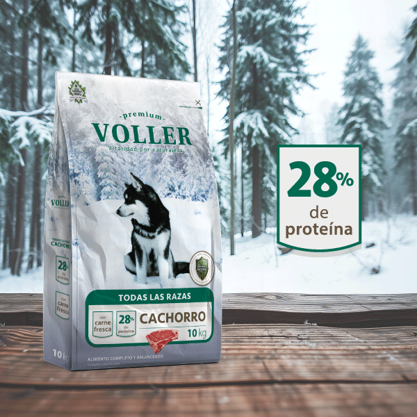 Voller Dog Cachorro All Breed 10 KG