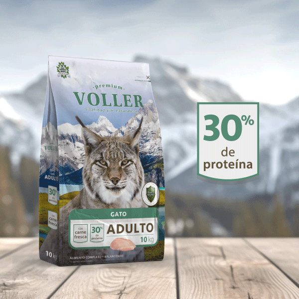 Voller Gato 10 KG