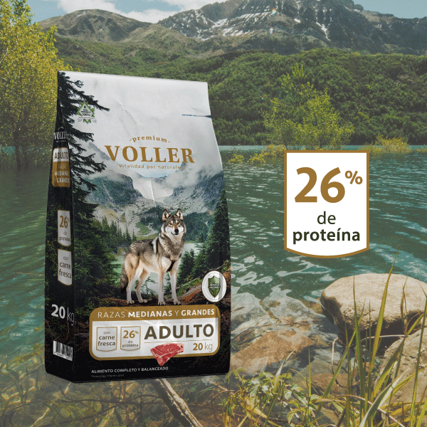 Voller Dog Raza Mediana Grande 20 KG